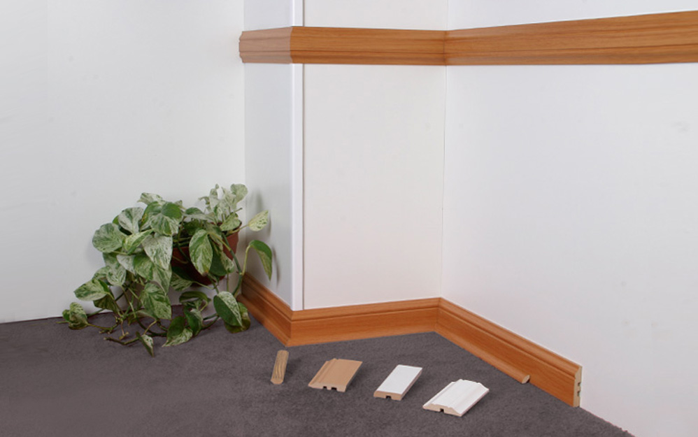 zocalos y contrazocalos